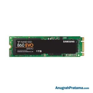 SAMSUNG SSD 860 EVO 1TB M.2 2280 SATA