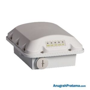 RUCKUS Access Point Standalone T310C [901-T310-WW20]