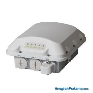 RUCKUS Access Point Centralized SZ T310D [901-T310-WW40]