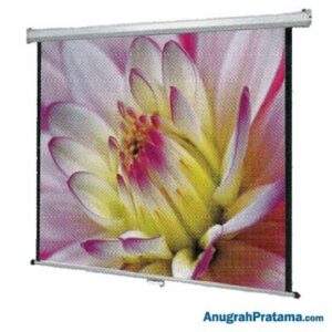 DATALITE WS 96 Inch Wall Screen Projector (244 x 244)
