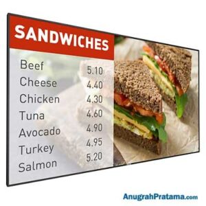 PHILIPS 42BDL5057P 42 Inch P-Line Display