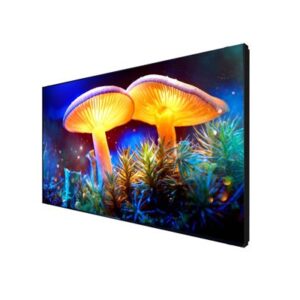 AOC 45.9 Inch D Series Video Wall 46D9115