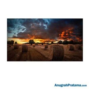 SAMSUNG VM55T-U 55 Inch Full HD Video Wall