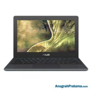 ASUS Chromebook C204MA-BU1430 (Celeron N4000, 4GB, 32GB EMMC, Chrome OS, 11.6 Inch Touch) Notebook
