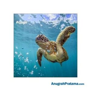 PROLIGHT 55 Inch Videowall PL35-55L