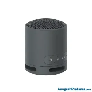 SONY SRS-XB100 Portable Wireless Speaker
