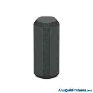 SONY SRS-XE300 Portable Wireless Speaker